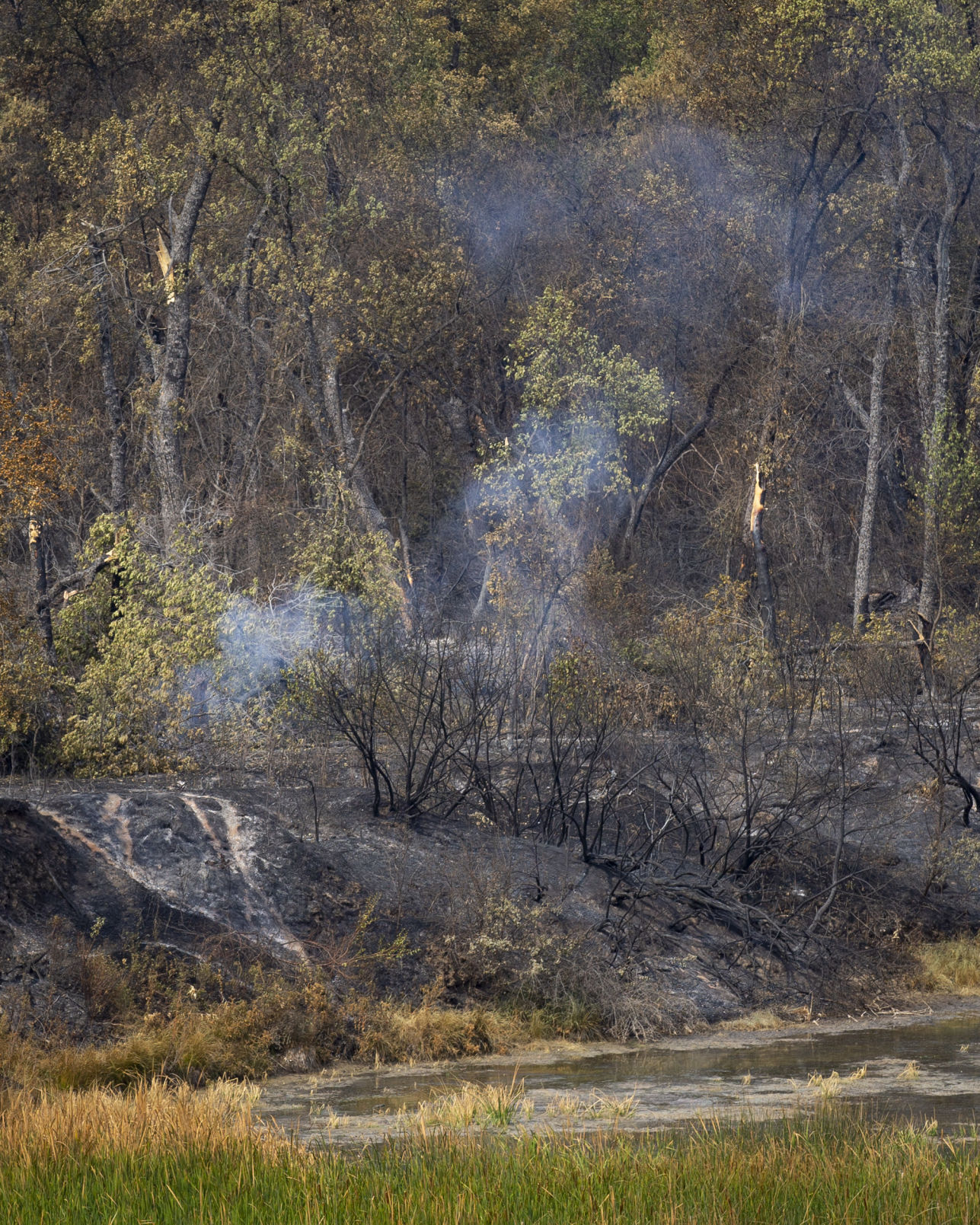 Snider fire
